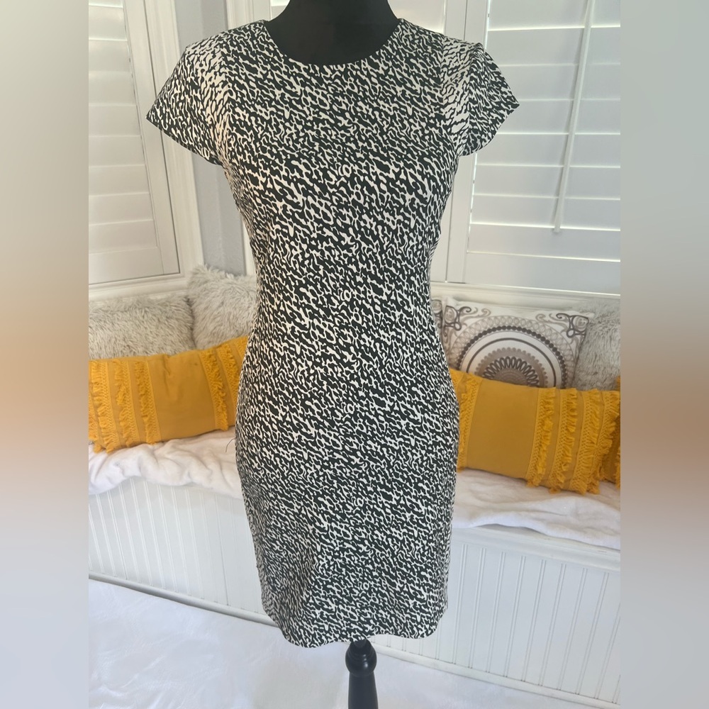 Diane von Furstenberg DVF Pele Snake Print Dress
Size: 2